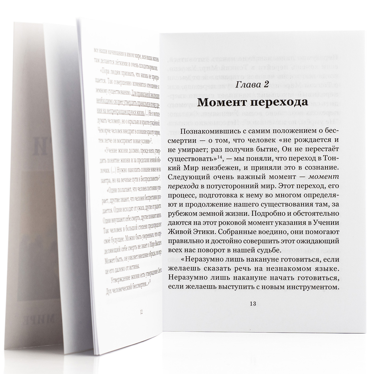 Жизнь без смерти. Беседы о Тонком Мире / Наталия Спирина