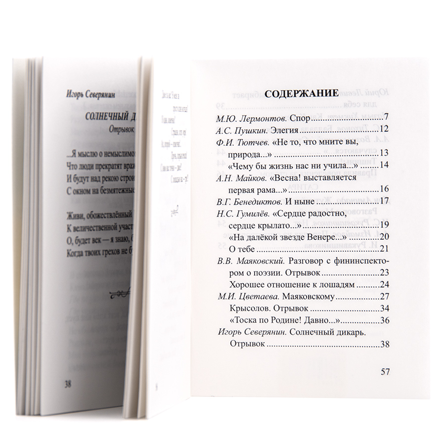 Сердце радостно, сердце крылато...  Духовная поэзия.  Любимые стихи Н.Д. Спириной
