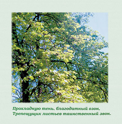 Зелёные гости /Н.Д. Спирина