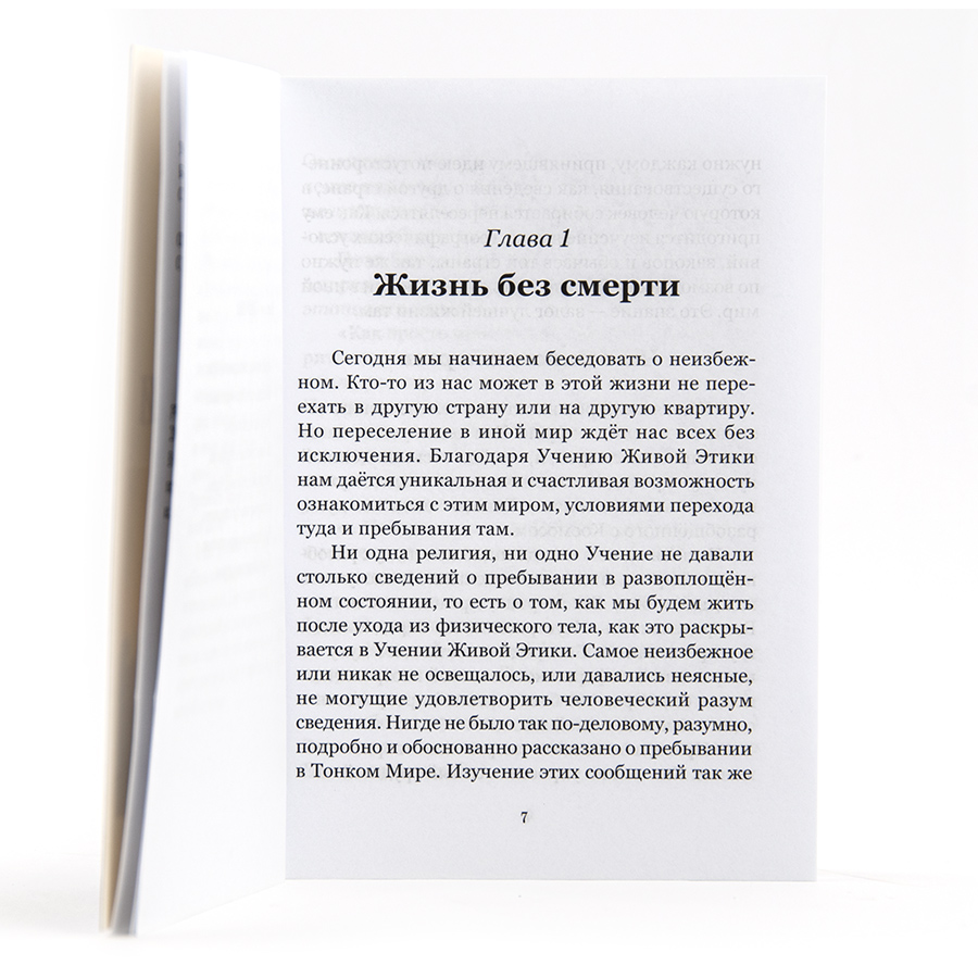 Жизнь без смерти. Беседы о Тонком Мире / Наталия Спирина
