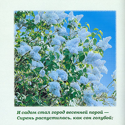 Зелёные гости /Н.Д. Спирина