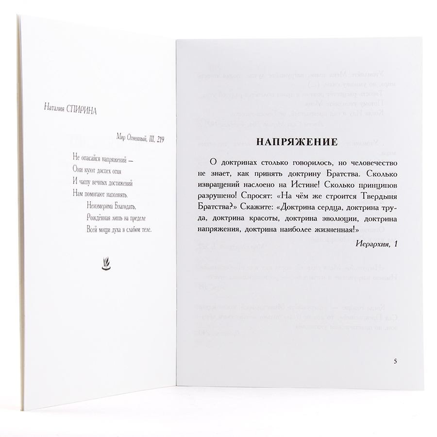 Напряжение. Из архива Н.Д. Спириной.